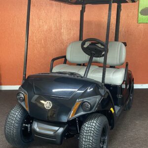 2026 Yamaha Drive 2 QuieTech PTV - Black